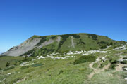 Hoher Freschen - Vorarlberg