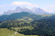 Kalkstein - Nordtirol