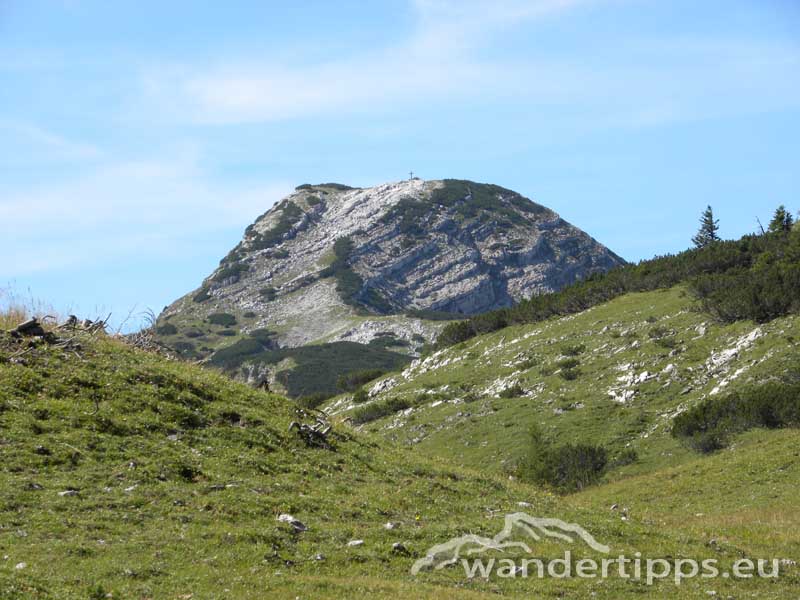 Kräuterin - Steiermark