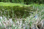 Hochwechsel über den Themenweg Erlebnis Wildwasser Abbildung 2