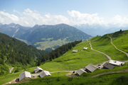 Löffelspitze Abbildung 4
