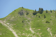 Löffelspitze Abbildung 6