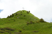 Löffelspitze Abbildung 10