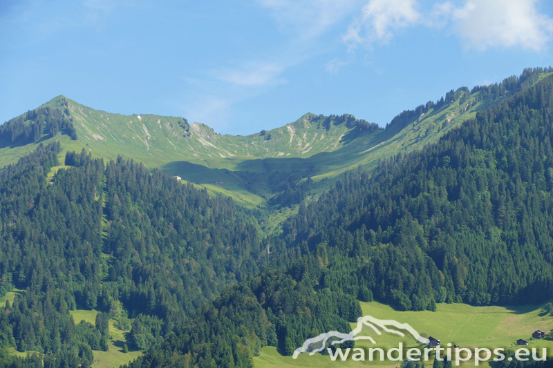 Löffelspitze Abbildung 1