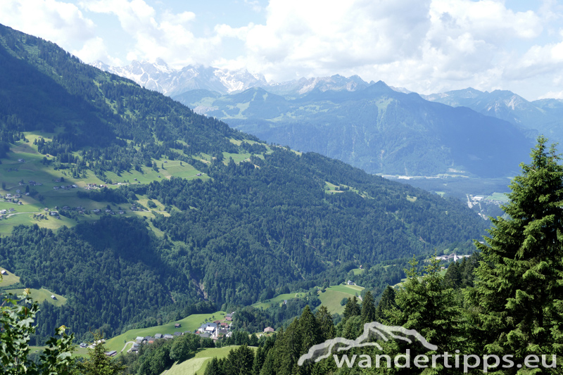 Löffelspitze Abbildung 2