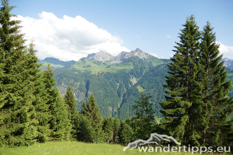 Löffelspitze Abbildung 13