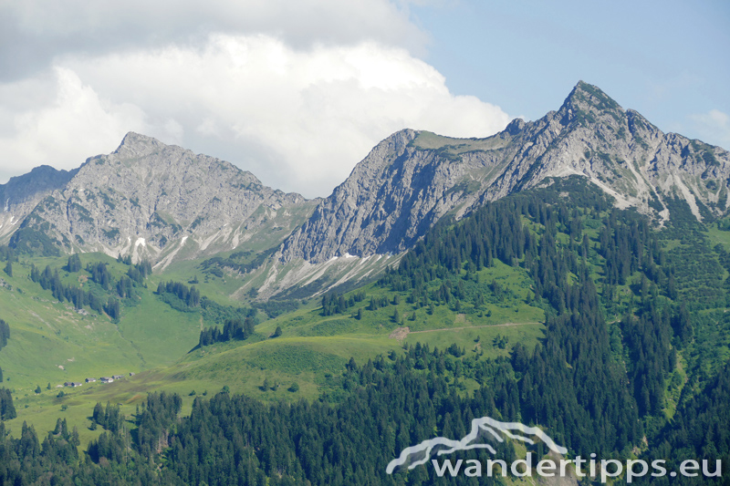 Löffelspitze Abbildung 14