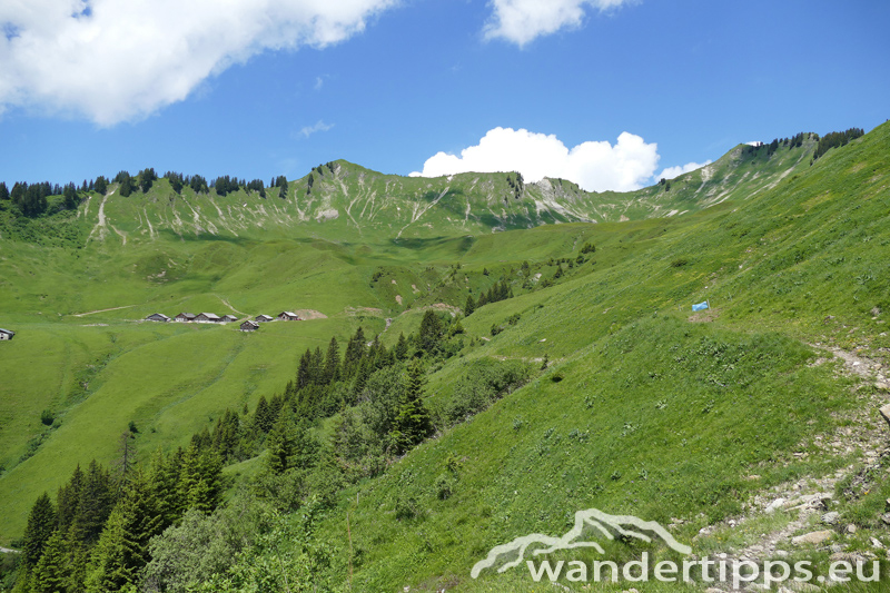 Löffelspitze Abbildung 3