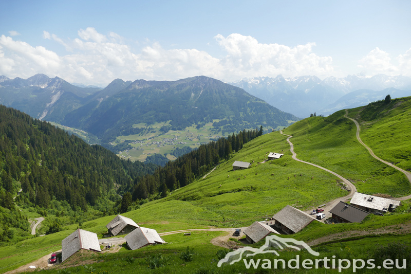 Löffelspitze Abbildung 4