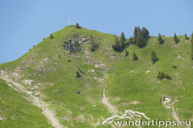 Löffelspitze Abbildung 6