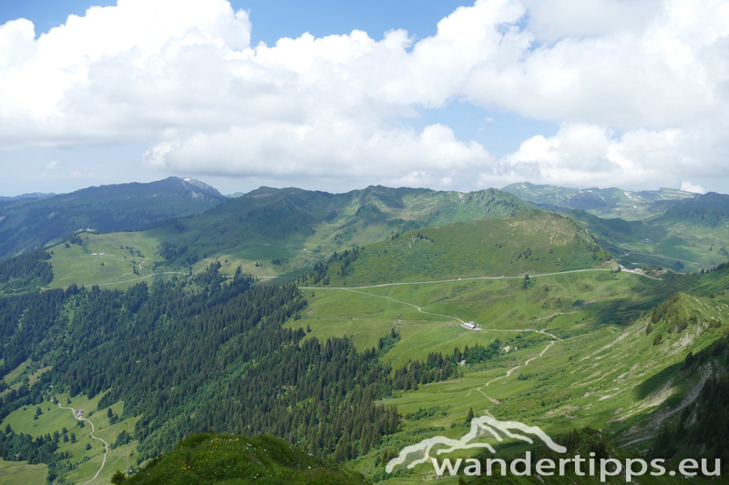 Löffelspitze Abbildung 7