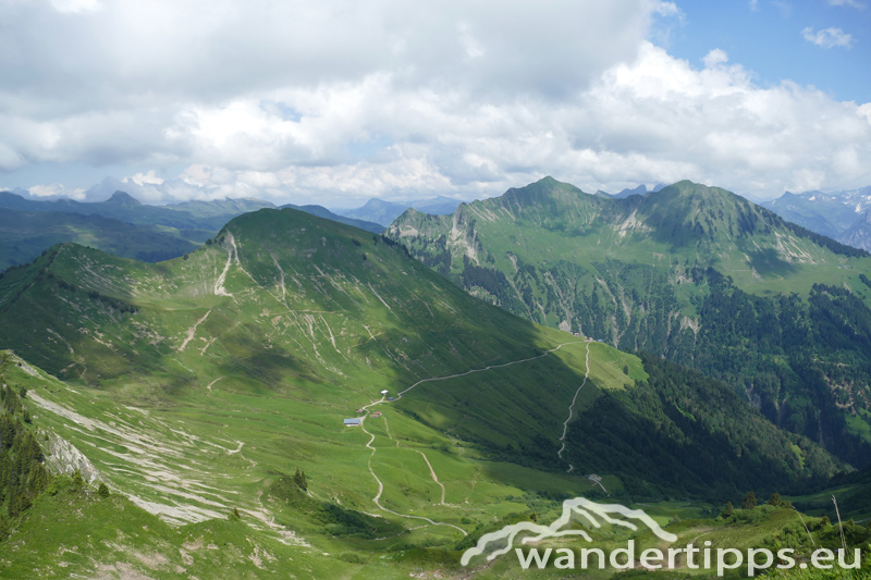 Löffelspitze Abbildung 8