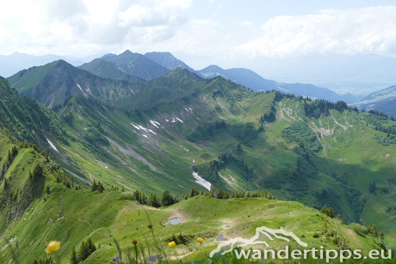 Löffelspitze Abbildung 9