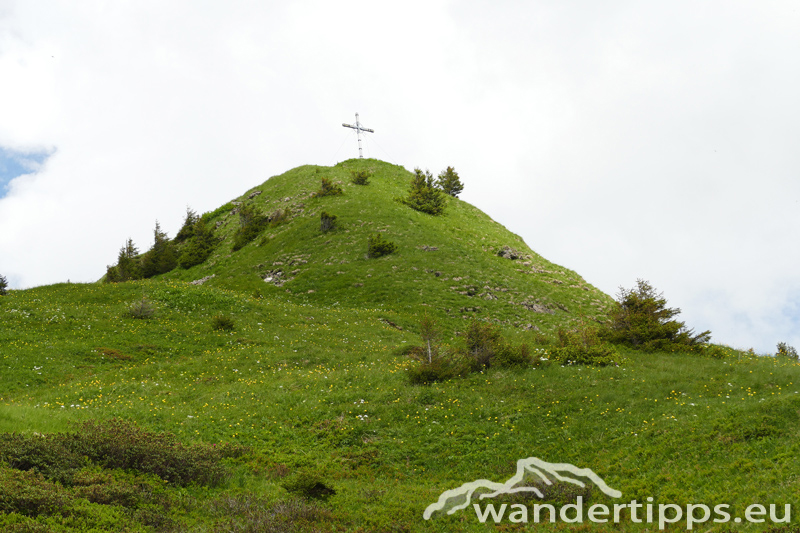 Löffelspitze Abbildung 10