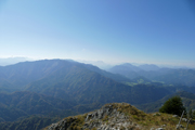 Noten Abbildung 11