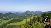 Kuhschneeberg/Schwarzkogel Abbildung 16