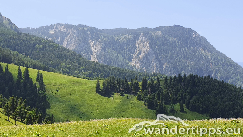 Kuhschneeberg/Schwarzkogel Abbildung 1