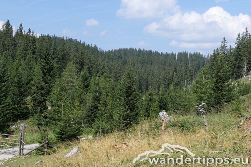 Kuhschneeberg/Schwarzkogel Abbildung 12