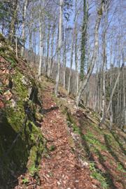 Hohenstein von Süden Abbildung 8