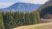 Himmelalm von Süden/Rote Mauer Abbildung 17