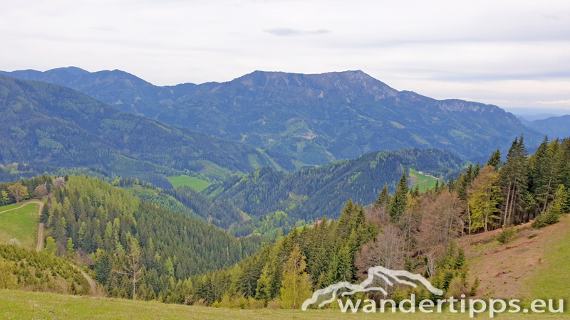 Brandnerberg/Grabenbauerhöhe/Schwarzkogel Abbildung 18
