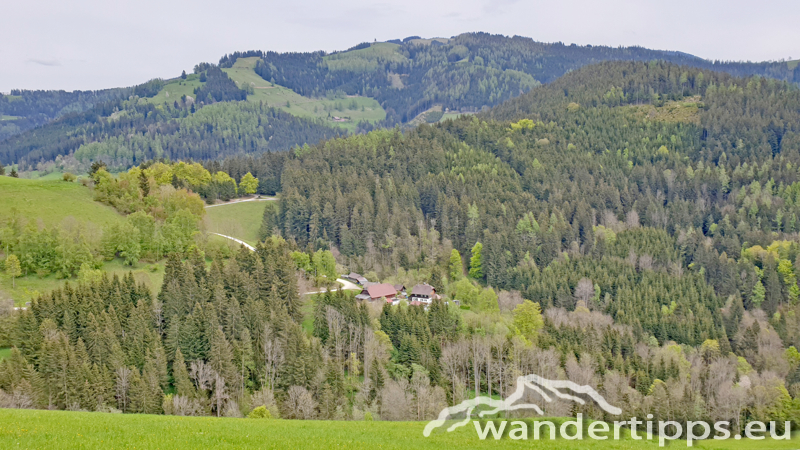 Brandnerberg/Grabenbauerhöhe/Schwarzkogel Abbildung 19
