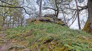 Dürnsteiner Schlossberg/Vogelberg-Kanzel Abbildung 11