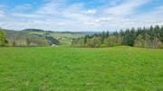 Dürnsteiner Schlossberg/Vogelberg-Kanzel Abbildung 15
