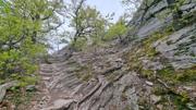 Dürnsteiner Schlossberg/Vogelberg-Kanzel Abbildung 7