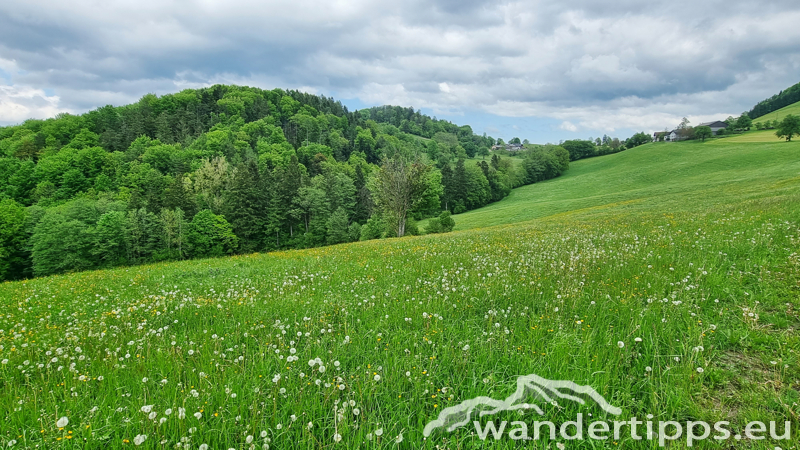 Kaiserkogel Abbildung 20