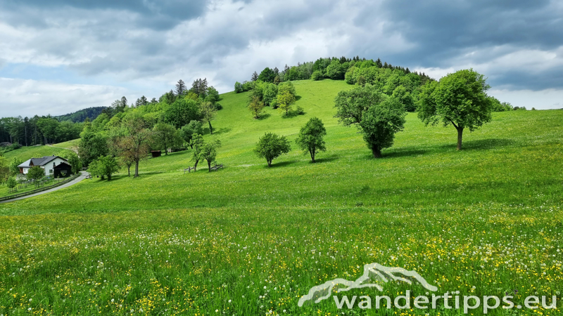 Kaiserkogel Abbildung 22