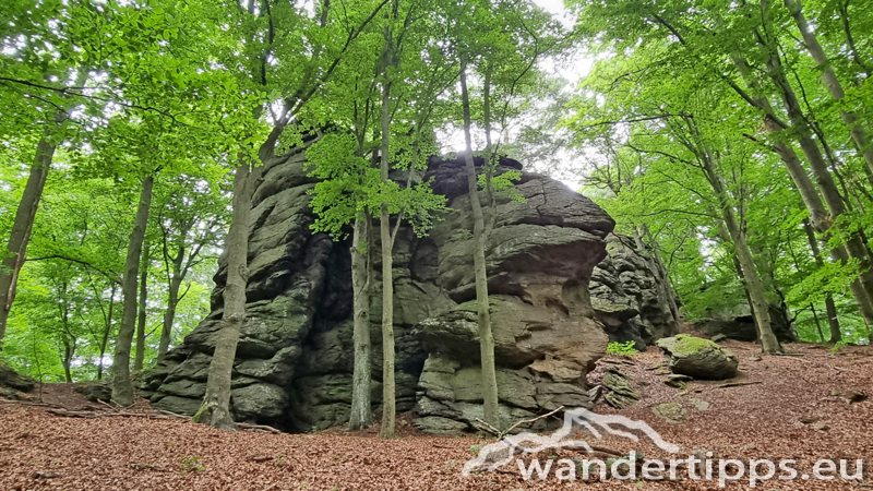 Ruine Aggstein/Prinz-Schönburg-Felsen Abbildung 1