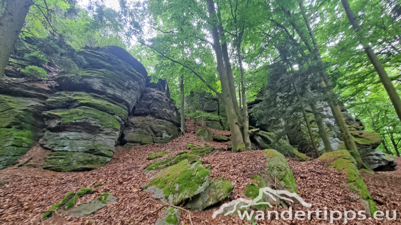 Ruine Aggstein/Prinz-Schönburg-Felsen Abbildung 12