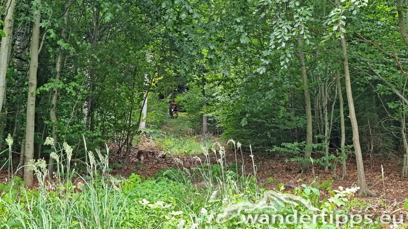 Ruine Aggstein/Prinz-Schönburg-Felsen Abbildung 10