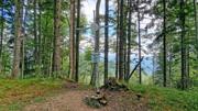 Hirschkogel/Amstettner Hütte Abbildung 14