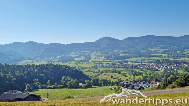 Grüntalkogel/Bichlberg Abbildung 1