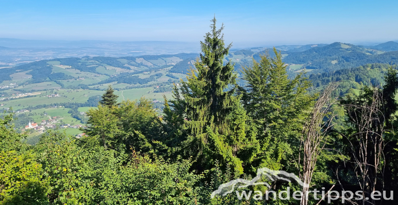 Grüntalkogel/Bichlberg Abbildung 10