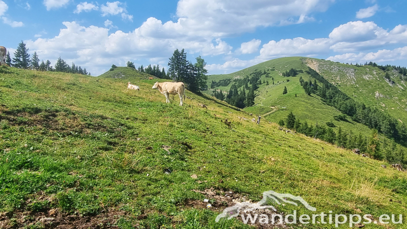 Ostereralm/Rabenkogel Abbildung 13