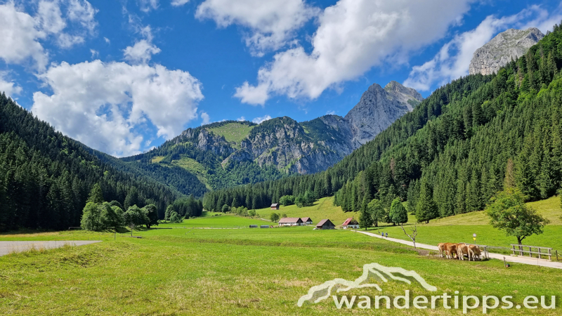 Kragelschinken Abbildung 1