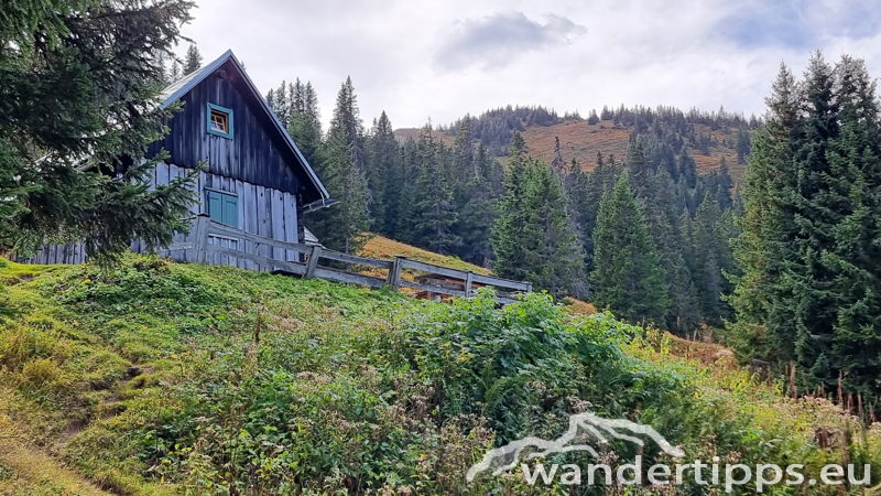 Kragelschinken Abbildung 11