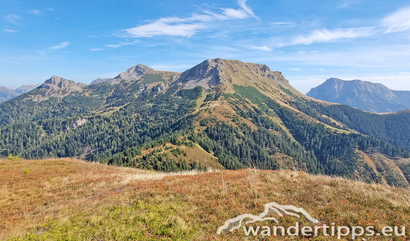 Kragelschinken Abbildung 18