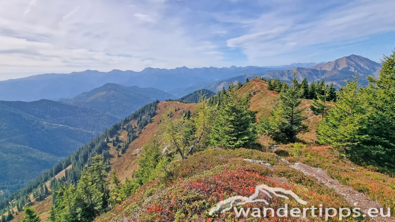 Kragelschinken Abbildung 19