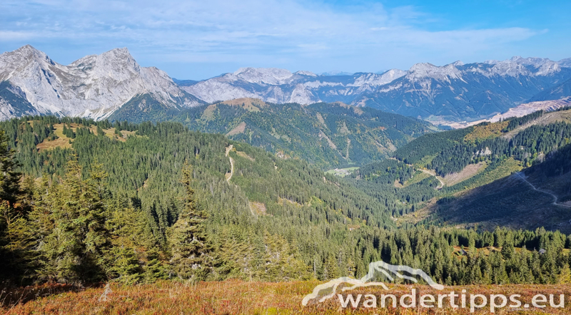 Kragelschinken Abbildung 21