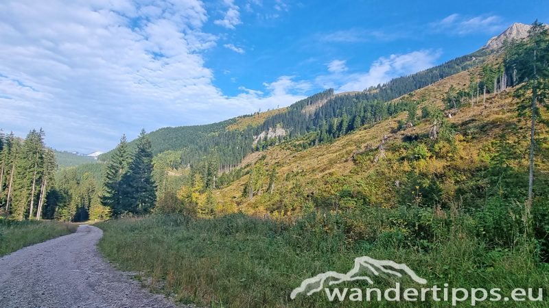 Kragelschinken Abbildung 24