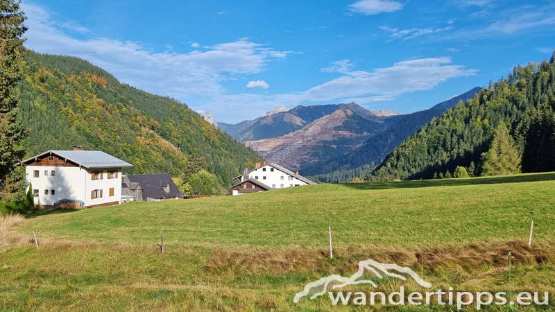 Kragelschinken Abbildung 25