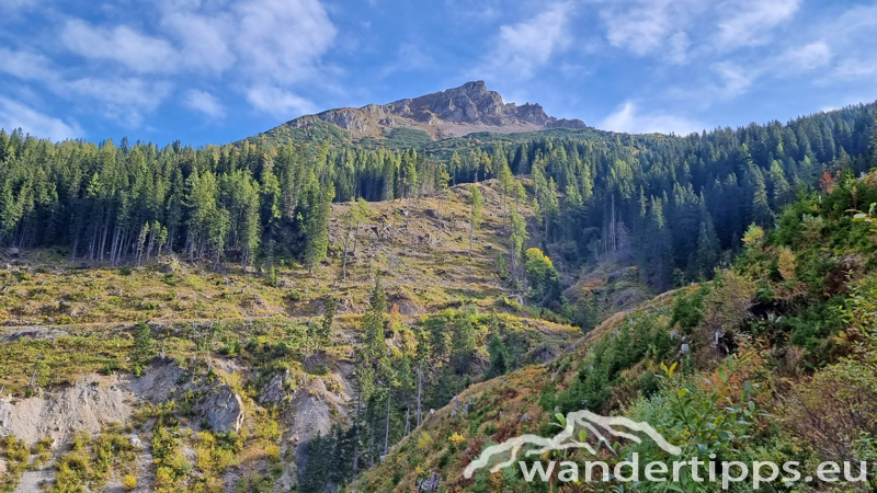 Kragelschinken Abbildung 10