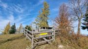 Frankenfelsberg/Rotenstein Abbildung 11