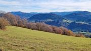 Frankenfelsberg/Rotenstein Abbildung 12