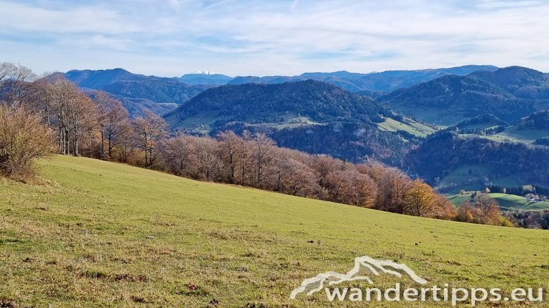 Frankenfelsberg/Rotenstein Abbildung 12