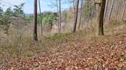 Buschandlwand Abbildung 12
